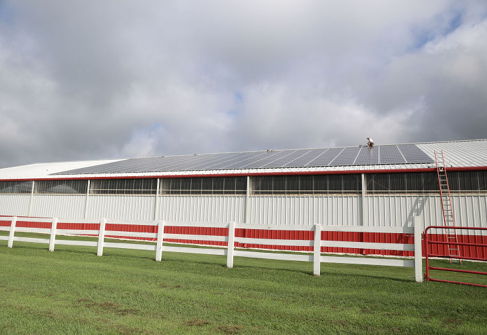Swiss Dale Farm
